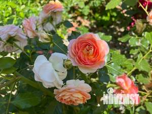 Дом 150м², 2-этажный, посуточно,