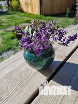 Дом 22м², 1-этажный, посуточно,