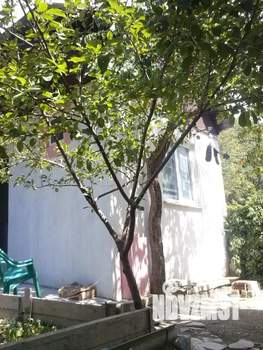 Дом 32м², 2-этажный, на длительный срок,