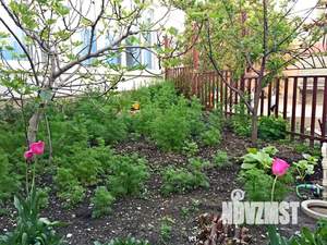 Дом 56м², 3-этажный, посуточно,