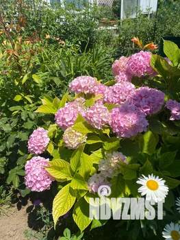 Дом 30м², 1-этажный, посуточно,