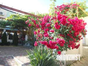 Дом 46м², 2-этажный, посуточно,