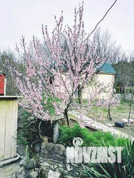 Дом 24м², 1-этажный, посуточно,