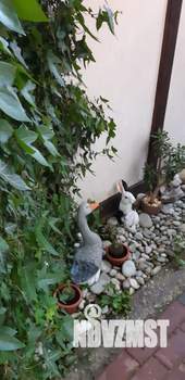 Дом 40м², 2-этажный, посуточно,