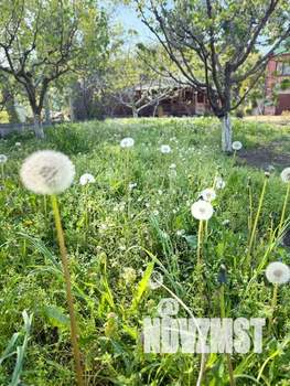 Дом 1800м², 2-этажный, посуточно,