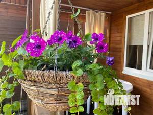 Дом 30м², 1-этажный, посуточно,