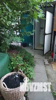 Дом 12м², 1-этажный, посуточно,