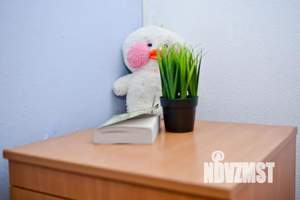 Дом 28м², 1-этажный, посуточно,