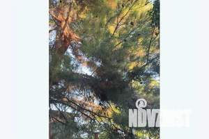 Дом 80м², 2-этажный, посуточно,