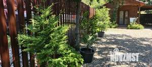 Дом 23м², 1-этажный, посуточно,