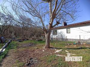 Дом 50м², 1-этажный, участок 5 сот.