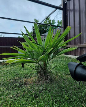 Дом 180м², 2-этажный, участок 6 сот.