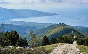 Дом 195м², 2-этажный, участок 6 сот.