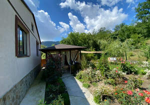 Дом 270м², 1-этажный, участок 8 сот.