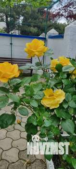 Дом 140м², 2-этажный, участок 2 сот.