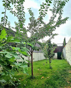 Дом 180м², 2-этажный, участок 6 сот.