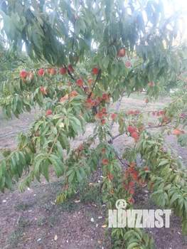 Дом 289м², 3-этажный, участок 26 сот.