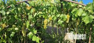 Дом 289м², 3-этажный, участок 26 сот.