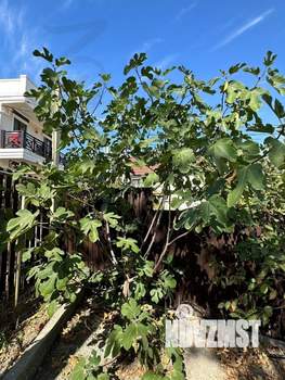 Дом 172м², 2-этажный, участок 4 сот.