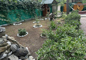 Дом 98м², 2-этажный, участок 7 сот.