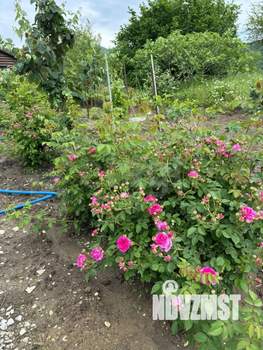 Дом 40м², 1-этажный, участок 8 сот.