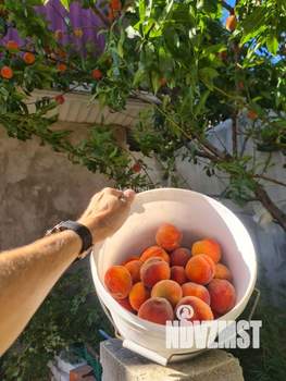 Дом 361м², 3-этажный, участок 5 сот.