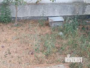 Дом 323м², 3-этажный, участок 5 сот.