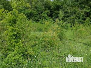 Дом 160м², 2-этажный, участок 6 сот.