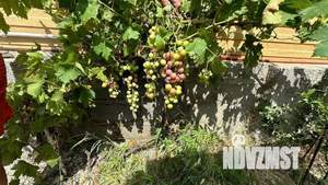 Дом 85м², 1-этажный, участок 7 сот.