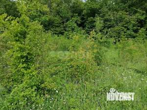 Дом 160м², 2-этажный, участок 6 сот.