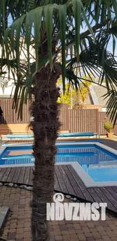 Дом 150м², 1-этажный, участок 12 сот.