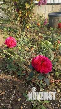 Дом 137м², 2-этажный, участок 4 сот.