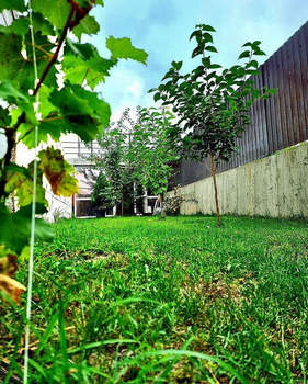 Дом 180м², 2-этажный, участок 6 сот.