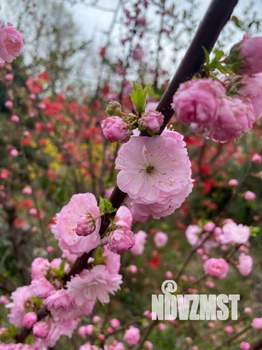 Дом 127м², 2-этажный, участок 6 сот.