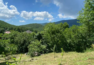 Дом 270м², 1-этажный, участок 8 сот.