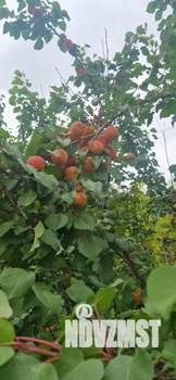 Дом 289м², 3-этажный, участок 26 сот.