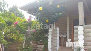 Дом 39м², 1-этажный, участок 4 сот.