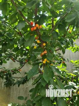 Дом 361м², 3-этажный, участок 5 сот.