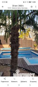 Дом 150м², 1-этажный, участок 12 сот.