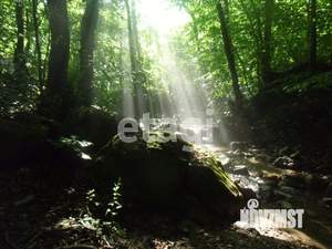 Дом 120м², 2-этажный, участок 4 сот.