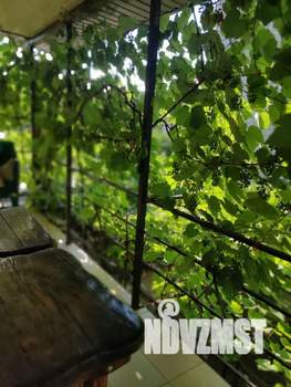 Дом 38м&sup2;, 2-этажный, посуточно, 