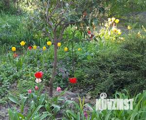 Дом 25м&sup2;, 2-этажный, посуточно, 