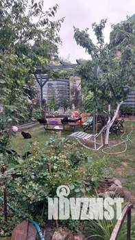 Дом 31м², 1-этажный, посуточно, 