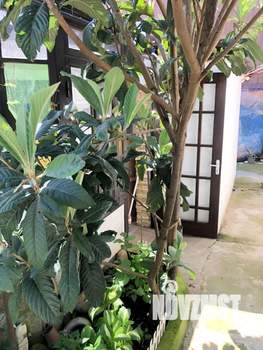 Дом 37м&sup2;, 1-этажный, посуточно, 