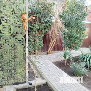 Дом 40м&sup2;, 1-этажный, посуточно, 