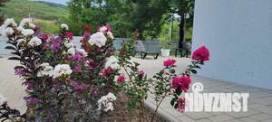 Дом 224м&sup2;, 2-этажный, посуточно, 