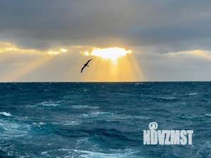 Дом 60м², 1-этажный, посуточно, 