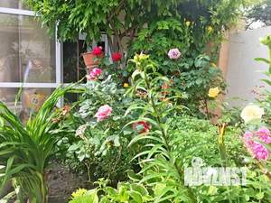 Дом 160м&sup2;, 2-этажный, посуточно, 