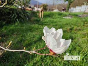 Дом 70м², 1-этажный, на длительный срок, 