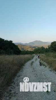 Дом 50м&sup2;, 1-этажный, посуточно, 